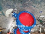 綯DN350ح綯͸1Kgѹ
