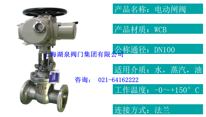 綯բDN100