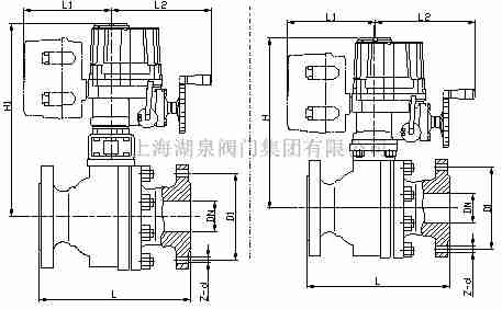 Q941H-16C dn250 ܵ綯