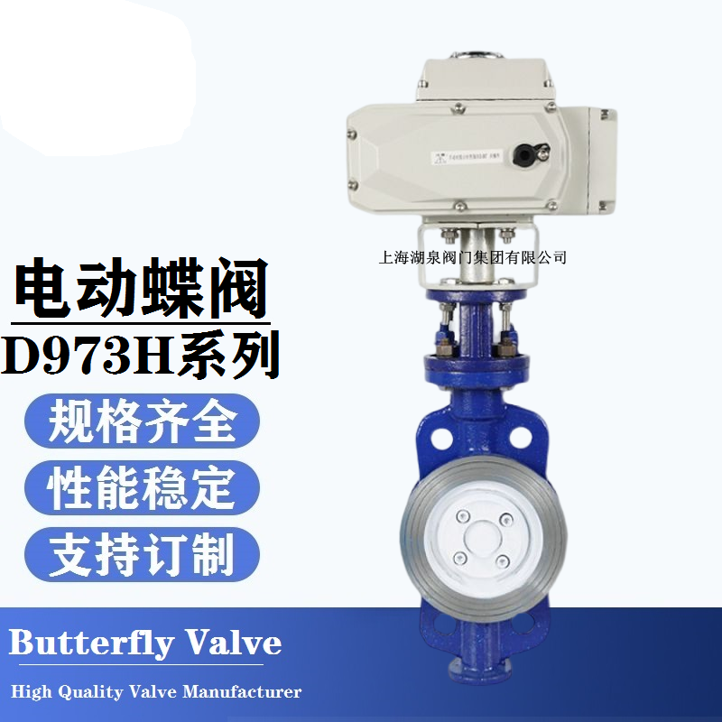 綯ҼǮD973H-16C dn300