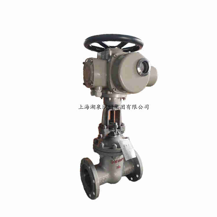 z941h-16c dn100ˮֵ綯բ