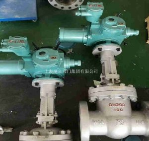 dn200綯բͺżǮ