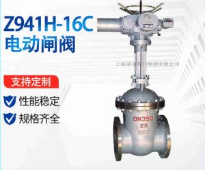 ֵ綯բZ94W-16P DN200