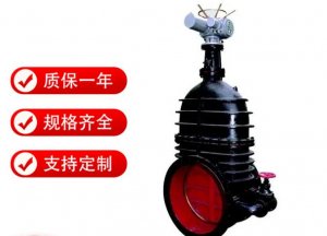 Z945t-10 dn600ˮĥШʽ綯բ