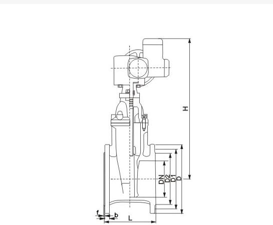 z945x-16Q DN300˵ⷨ綯բ