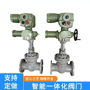 ZJK941H-40 DN150øһʽŵ綯װ