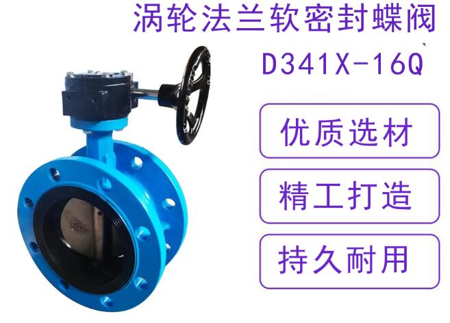 D341X-16Q DN100