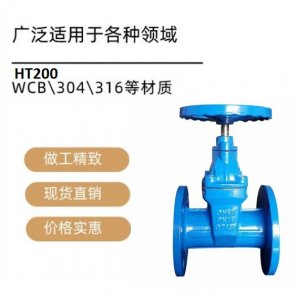 ᳧բZ41W-10RL DN50316L