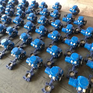 綯D971X-10 DN125ǮǮ