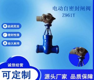  DN300綯բZ961Yһ廯ŵ綯װ