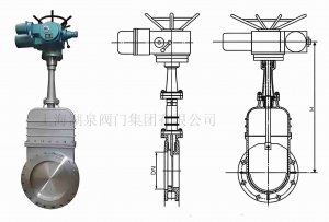 DMZ73H-10 DN300ֶ˵բ