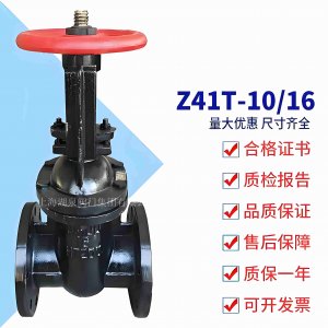 Z41T-10 DN250Шʽբ