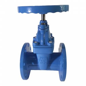 բZ45X-16Q_DN65/PN16MPa_ʽ